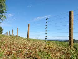 Electric Fencing