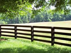 Ranch Fencing Ranch Fencing
