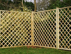 Trellis Fencing Trellis Fencing